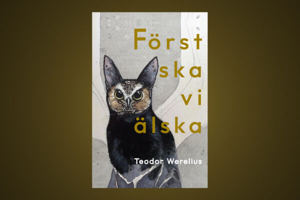 Pseudonymen Teodor Werelius har skrivit en roman om förvirrad maskulinitet.