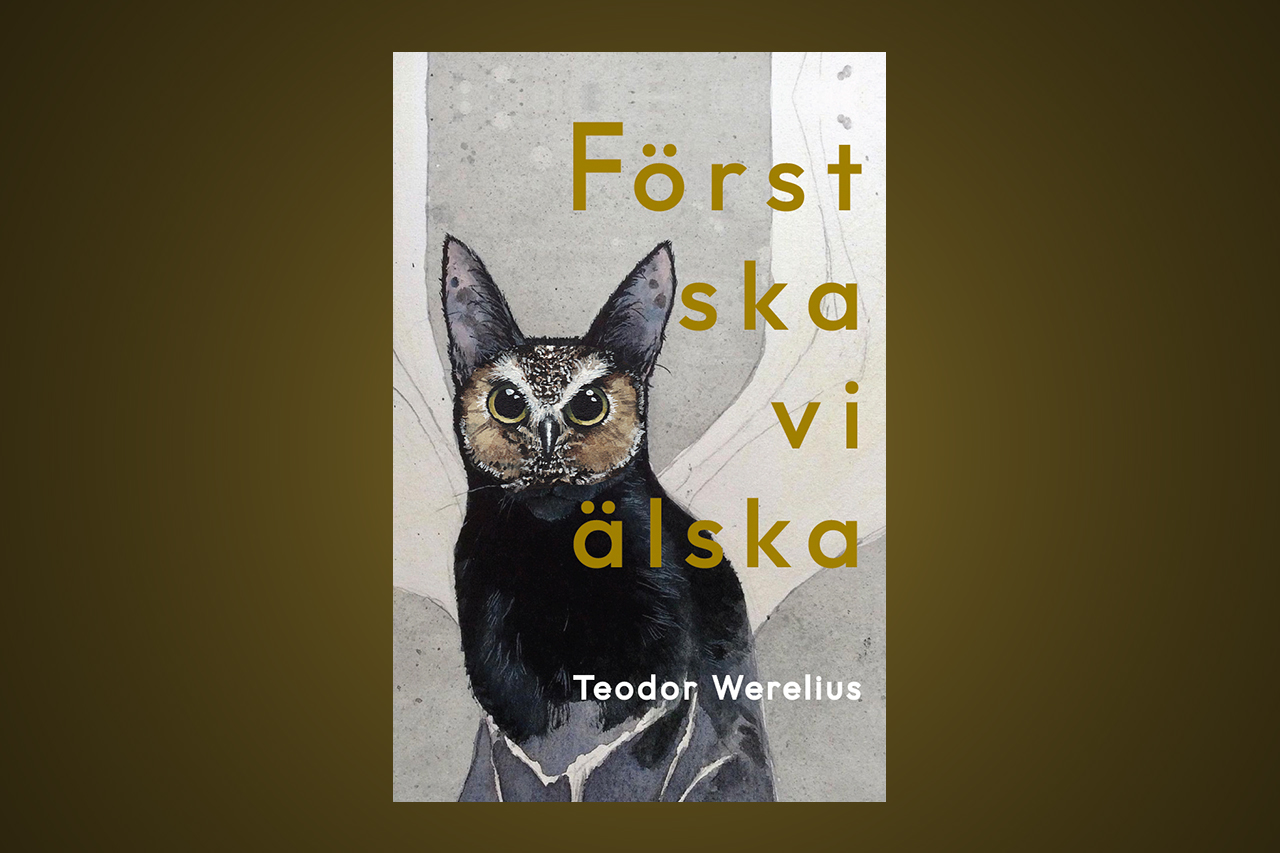 Pseudonymen Teodor Werelius har skrivit en roman om förvirrad maskulinitet. 