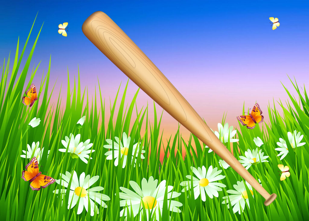 Basebollträ, sommaräng