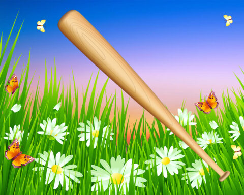 Basebollträ, sommaräng