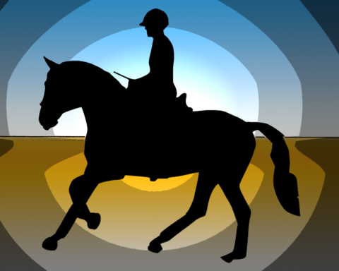 Häst, ryttare, hästmänniskor