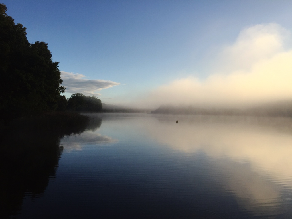 "Om Varat". (Foto: Sofia Johnsson) landskapsbild