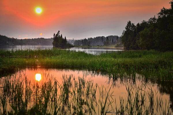 Våtmark, solnedgång, vatten