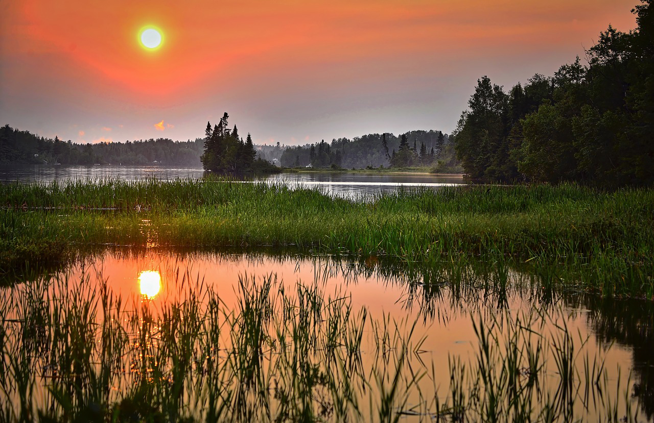 Våtmark, solnedgång, vatten