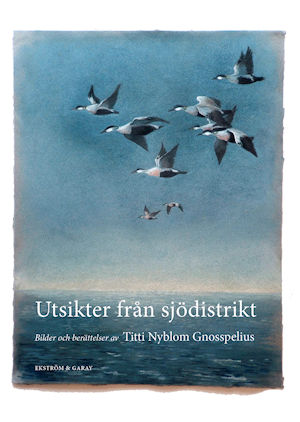 Titti Nyblom Gnosspelius - Utsikter från sjödistrikt