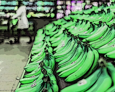 Gröna bananer