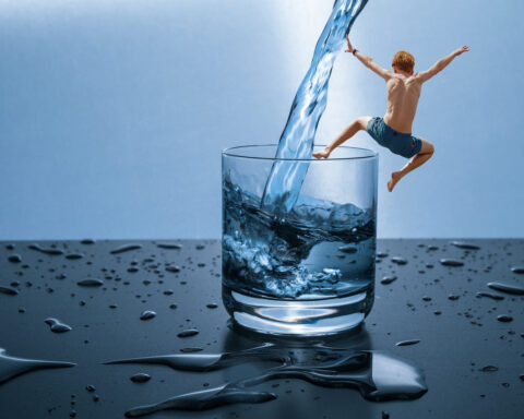 "Livet på en pinne". (Foto: AxxL / Pixabay.com)