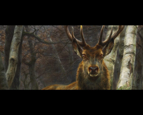 Målning av Rosa Bonheur (1822-1899) "Le Roi de la forêt", (Skogens konung) 1878. Bilden är beskuren. Collection particulière © Bridgeman Images / Christie’s Images
