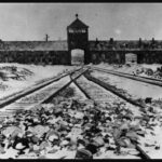 KZ Auschwitz, 1945. Det var det största av Nazitysklands koncentrations- och förintelseläger. Auschwitz är det tyska namnet på den polska staden Oświęcim. (Bildkälla: Wikipedia/Bundesarchiv, B 285 Bild-04413/Stanislaw Mucha)