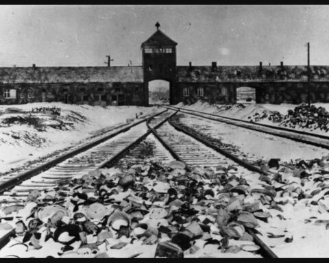 KZ Auschwitz, 1945. Det var det största av Nazitysklands koncentrations- och förintelseläger. Auschwitz är det tyska namnet på den polska staden Oświęcim. (Bildkälla: Wikipedia/Bundesarchiv, B 285 Bild-04413/Stanislaw Mucha)