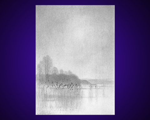 Blyertsteckning, som ingår i en svit med namnet Vår vid Ringsjön av Gunnar Norrman (1912-2005). Omslagsbild på boken "Kring Ringsjön".