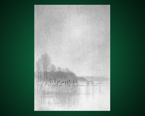 Blyertsteckning, som ingår i en svit med namnet Vår vid Ringsjön av Gunnar Norrman (1912-2005)