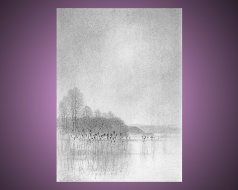 Blyertsteckning, som ingår i en svit med namnet Vår vid Ringsjön av Gunnar Norrman (1912-2005). Omslagsbild på boken "Kring Ringsjön".