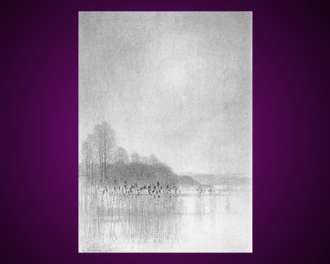 Blyertsteckning, som ingår i en svit med namnet Vår vid Ringsjön av Gunnar Norrman (1912-2005). Omslagsbild på boken "Kring Ringsjön".