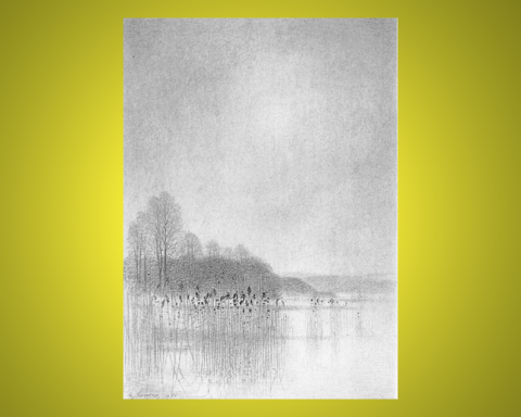 Blyertsteckning, som ingår i en svit med namnet Vår vid Ringsjön av Gunnar Norrman (1912-2005). Omslagsbild på boken "Kring Ringsjön".