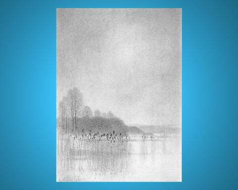 Blyertsteckning, som ingår i en svit med namnet Vår vid Ringsjön av Gunnar Norrman (1912-2005). Omslagsbild på boken "Kring Ringsjön".