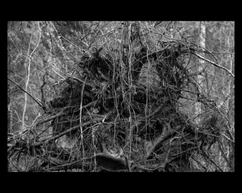 Foto: Maria Ahlström.