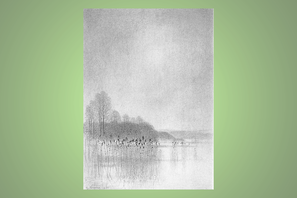 Blyertsteckning, som ingår i en svit med namnet Vår vid Ringsjön av Gunnar Norrman (1912-2005). Omslagsbild på boken "Kring Ringsjön".