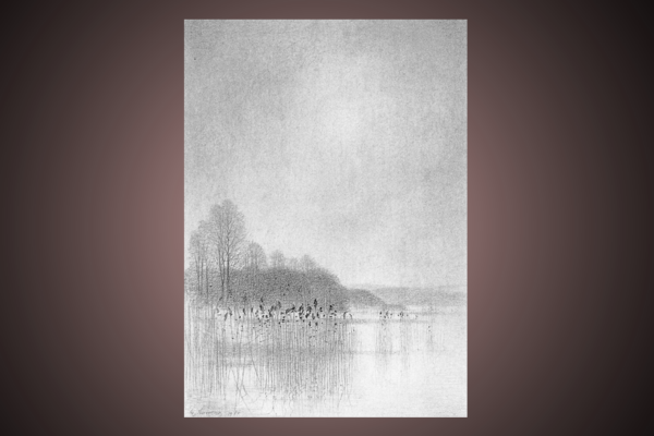 Blyertsteckning, som ingår i en svit med namnet Vår vid Ringsjön av Gunnar Norrman (1912-2005). Omslagsbild på boken "Kring Ringsjön".