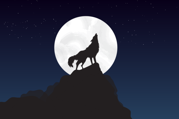 Varg som ylar mot månen Illustration: JOhaza / Pixabay.com