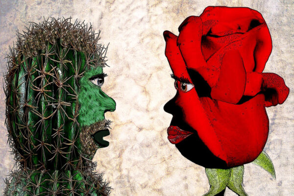 Kaktus och ros