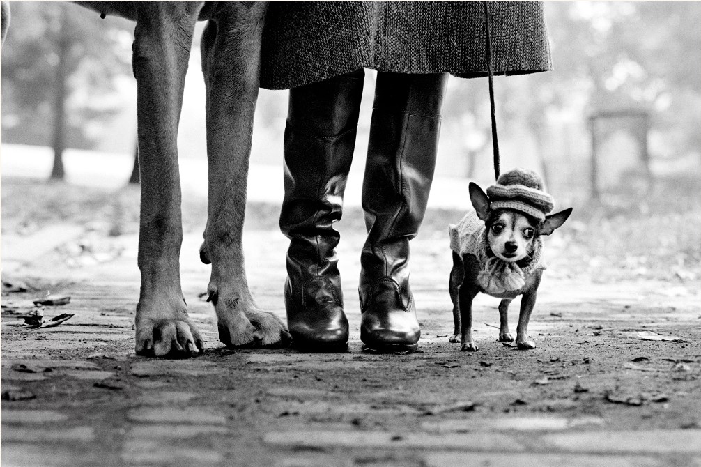 Foto: Elliott Erwitt. Aktuell med en retrospektiv utställning i Paris.