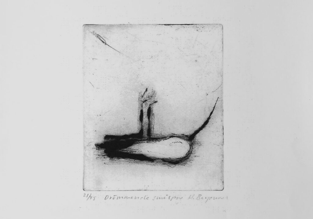 "Drömmande småspov", grafiskt blad av Helena Bergenrud.