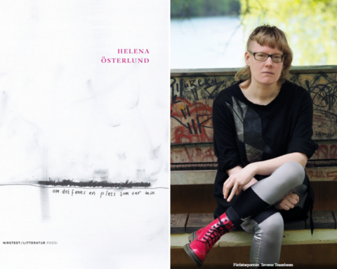 Helena Österlund, poesi, dikt, kompromisslös poesi