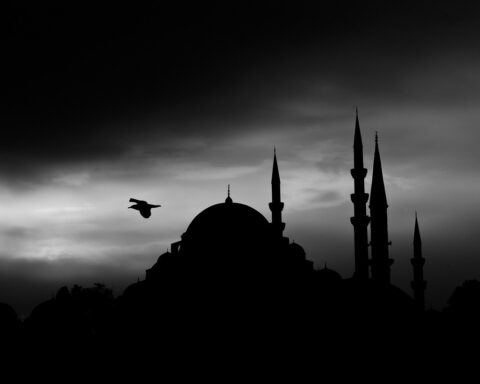 dikt, poesi, lyrik, dikter, diktning, skrivare, skrivande