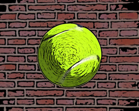 Carl-Robert Boström är född i Bromma 1954. Han bor vid havet i Grundsund, gillar grekiska gudar, Epa-traktorer och älskar skidåkaren Frida Karlsson. Boström har tidigare varit publicerad i Opulens, bland annat med två dikter. Nu är vi glada över att få presentera Boströms prosadikt Rekordet som inleds med en finurlig och fri tolkning av ett Wittgenstein-citat.