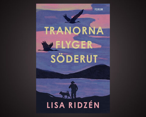DEBUTROMAN. Bo Bjelvehammar har med stor behållning läst Lisa Ridzéns debutroman ”Tranorna flyger söderut”. Han konstaterar att hennes porträtt av huvudpersonen är fullt av värme och innerlig ömsinthet.