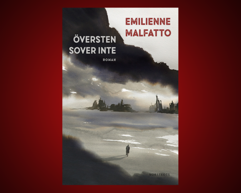 Emilienne Malfatto, roman, prosa, romankonst, berättande