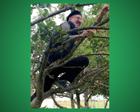 John Tritica, Niklas Törnlund, lyrik, poesi, dikter, Prosa & lyrik, amerikansk litteratur,