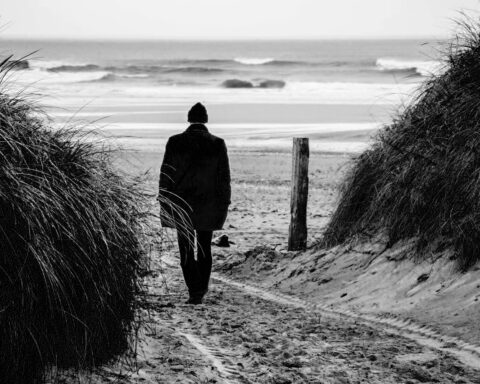 Simon O. Pettersson, skrivande, novell, noveller, prosa,