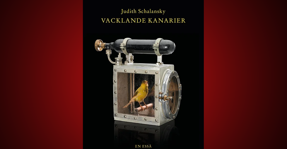 Judith Schalansky, tyskspråkig litteratur, klimatkrisen, klimatkatastrofen, miljöförstöring, essäer, essäistik