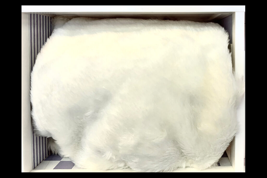 Hemsöka. Vi fortsätter i dag  med Maria Johanssons nya bildprojekt. Det bär titeln ”Hemsöka”. Maria Johansson, I huvudet på Maria Johansson, konst, samtidskonst, bildprojekt, "Hemsöka",