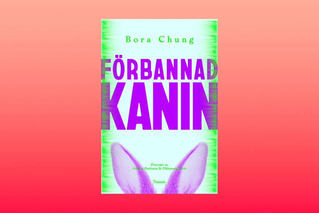 NOVELLER. Bora Chung är en av stjärnorna i den koreanska litteraturvågen. Henrik Schedin har med stor behållning läst hennes novellsamling ”Förbannad kanin”. skräck, sci-fi, magisk realism, Sydkorea, koreansk kultur, novellkonst, skräcklitteratur,
