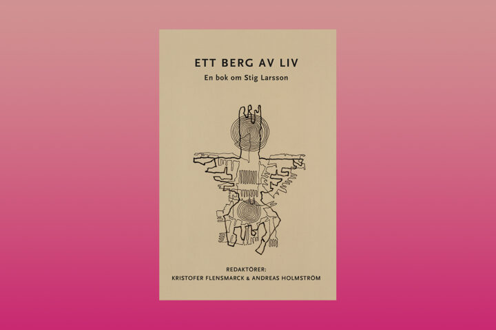 ANTOLOGI. ”Sammanfattningsvis utgör ”Ett berg av liv” ett genomtänkt Stig Larsson-porträtt med stretig charm.” Det skriver Bo Bjelvehammar. Stig Larsson, postmoderism, Victor Malm, Daidalos, biografier, skrivande, litteraturvetenskap,