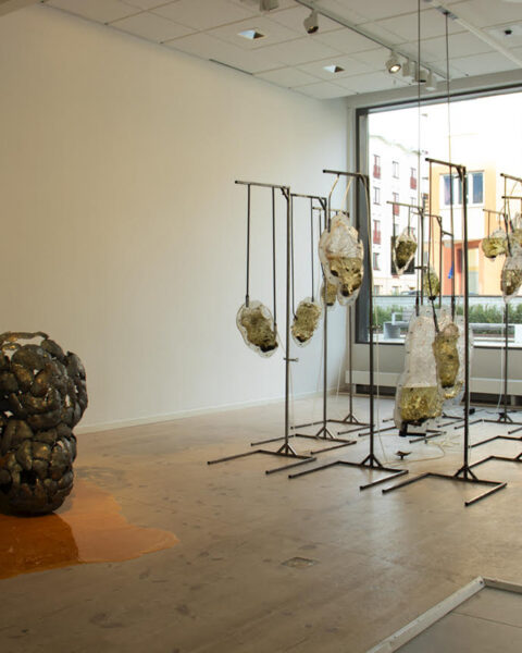 Heidi Edström. UTSTÄLLNING. Maria Johansson skriver om en aktuell utställning, ”Vaska guld”, med verk av Heidi Edström. Det är konst som både triggar och berör. konst, konstutställning, svenska konstnärer,