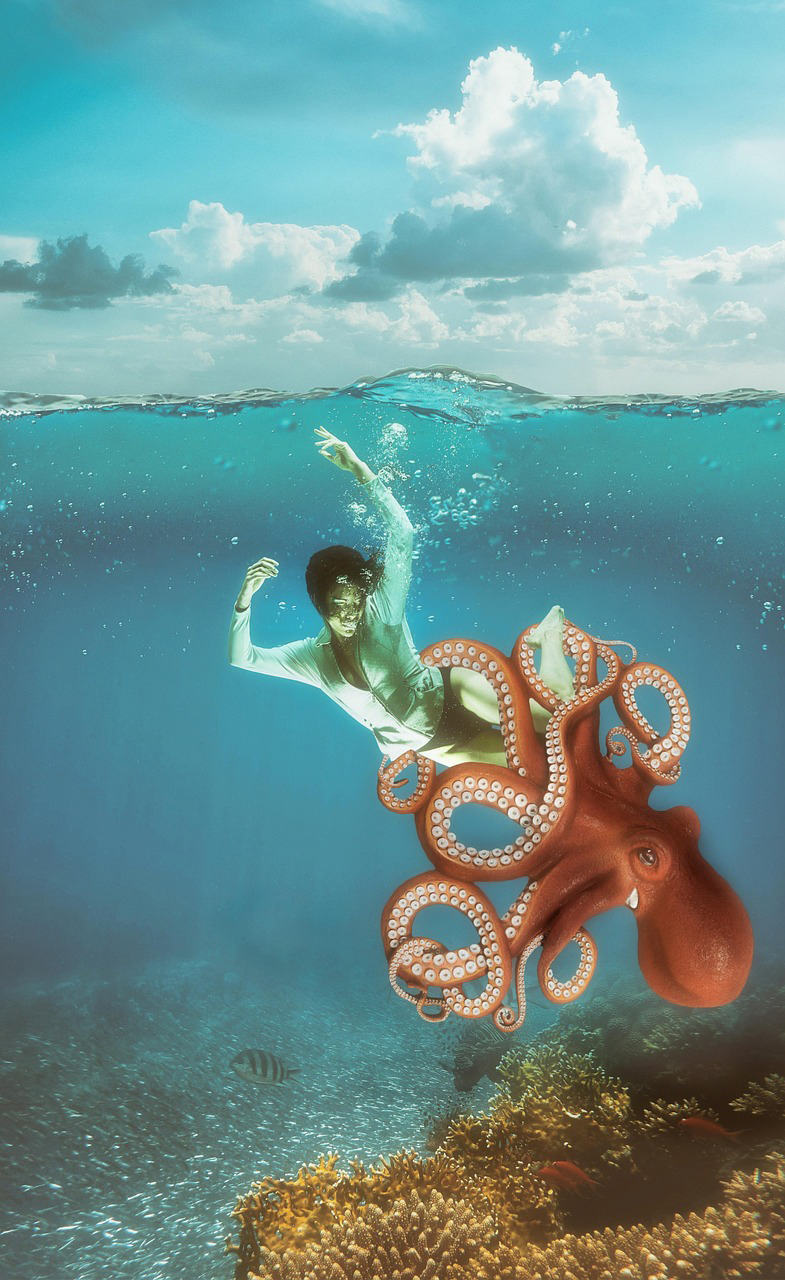 KORALLREVEN. Med utgångspunkt i korallrevens pågående undergång skriver Ann Engqvist om hur klimatkatastrofen negligeras av medier och politiker.klimatfrågan, klimatförnekare, klimatkrisen, klimatkatastrof, miljöfrågan, miljöförstöring, klimatförändringar,