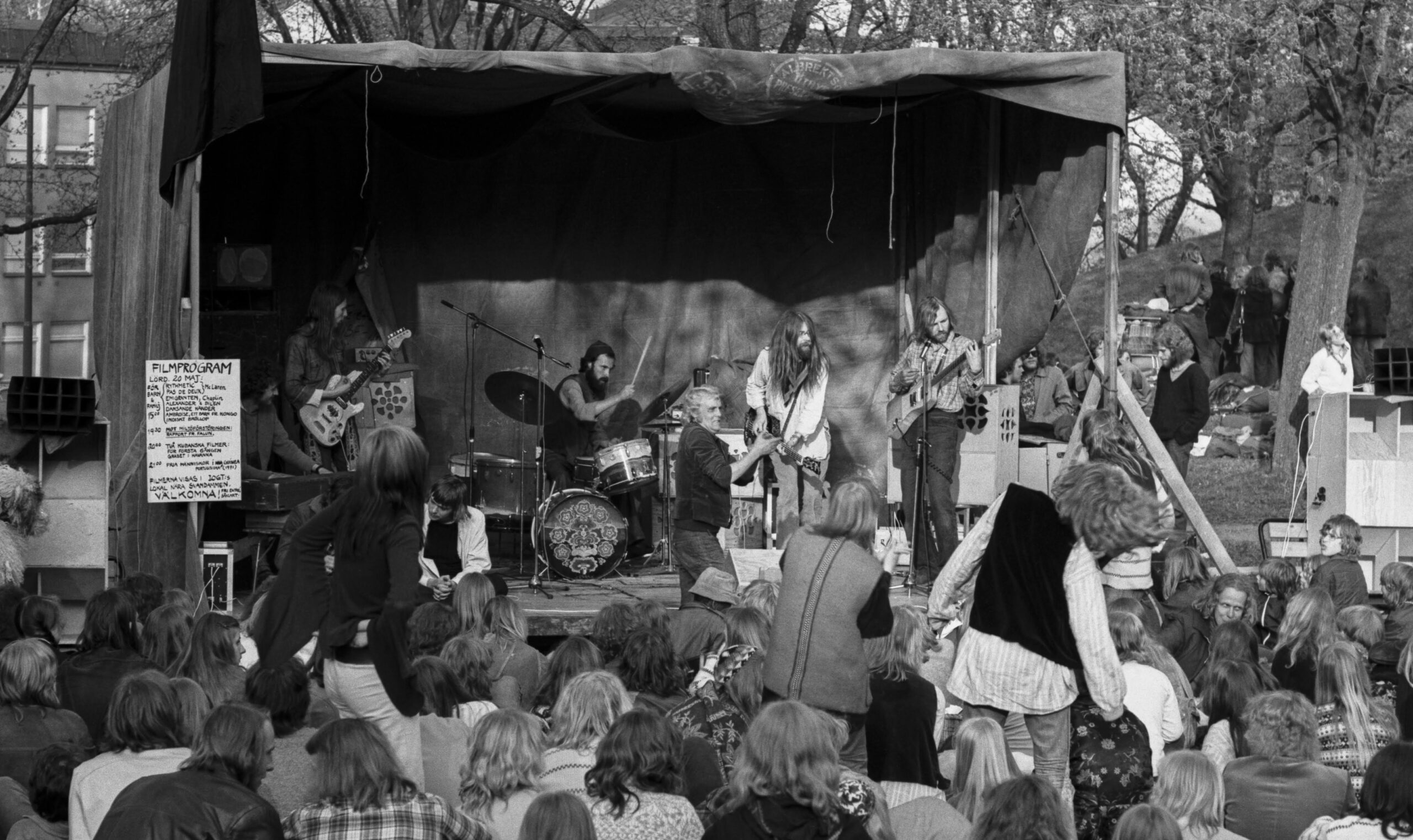 Träd, Gräs och Stenar. Konstnären Ola Åstrand skriver ur ett personligt perspektiv om Träd, Gräs och Stenar, ett progressivt rockband som med tiden har blivit internationellt känt.rock, rockmusik, psykedelisk musik, hippies, Ola Åstrand, vinylskivor, retrokultur,