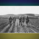 Träd, Gräs och Stenar. Konstnären Ola Åstrand skriver ur ett personligt perspektiv om Träd, Gräs och Stenar, ett progressivt rockband som med tiden har blivit internationellt känt. rock, rockmusik, psykedelisk musik, hippies, Ola Åstrand, vinylskivor, retrokultur,