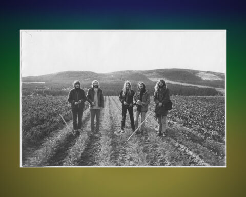 Träd, Gräs och Stenar. Konstnären Ola Åstrand skriver ur ett personligt perspektiv om Träd, Gräs och Stenar, ett progressivt rockband som med tiden har blivit internationellt känt. rock, rockmusik, psykedelisk musik, hippies, Ola Åstrand, vinylskivor, retrokultur,