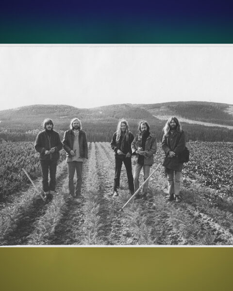 Träd, Gräs och Stenar. Konstnären Ola Åstrand skriver ur ett personligt perspektiv om Träd, Gräs och Stenar, ett progressivt rockband som med tiden har blivit internationellt känt. rock, rockmusik, psykedelisk musik, hippies, Ola Åstrand, vinylskivor, retrokultur,