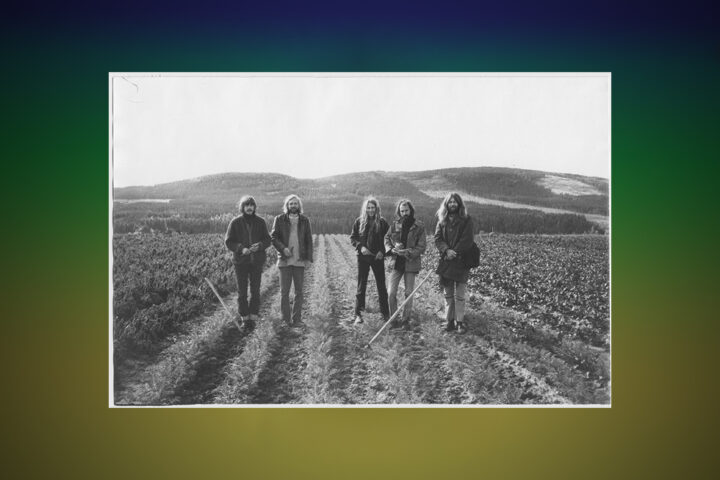 Träd, Gräs och Stenar. Konstnären Ola Åstrand skriver ur ett personligt perspektiv om Träd, Gräs och Stenar, ett progressivt rockband som med tiden har blivit internationellt känt. rock, rockmusik, psykedelisk musik, hippies, Ola Åstrand, vinylskivor, retrokultur,