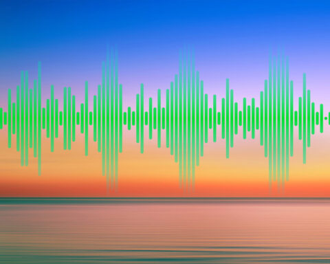 ADRIAN SHERWOOD. DUB. Kangas klanger konstaterar att dub-maestron Adrian Sherwood lever upp till de högt ställda förväntningarna.