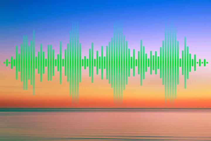 ADRIAN SHERWOOD. DUB. Kangas klanger konstaterar att dub-maestron Adrian Sherwood lever upp till de högt ställda förväntningarna.