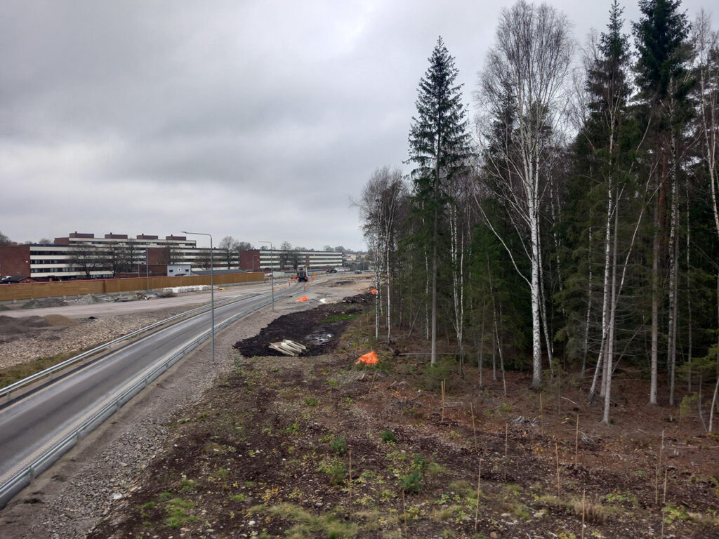DET KROSSANDE. Adam Svedlund har skrivit en essä som utgår från en personlig erfarenhet av landskapets förändring och diskuterar beständighet, konservatismens filosofiska hållning och vår tids instrumentella syn på världen.