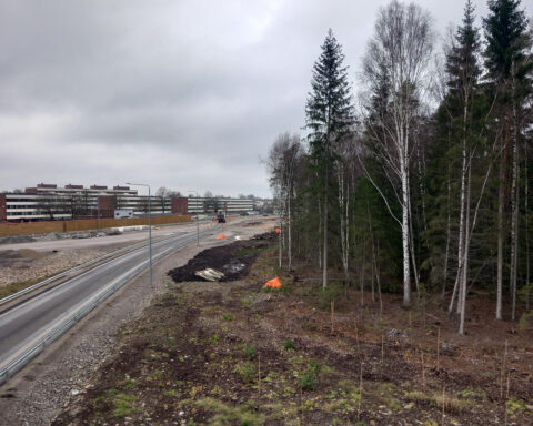 DET KROSSANDE. Adam Svedlund har skrivit en essä som utgår från en personlig erfarenhet av landskapets förändring och diskuterar beständighet, konservatismens filosofiska hållning och vår tids instrumentella syn på världen.