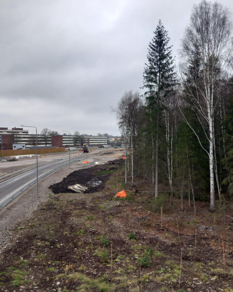 DET KROSSANDE. Adam Svedlund har skrivit en essä som utgår från en personlig erfarenhet av landskapets förändring och diskuterar beständighet, konservatismens filosofiska hållning och vår tids instrumentella syn på världen.